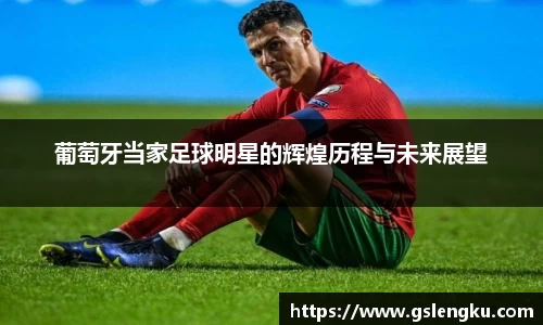 葡萄牙当家足球明星的辉煌历程与未来展望